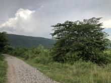 รูปภาพ